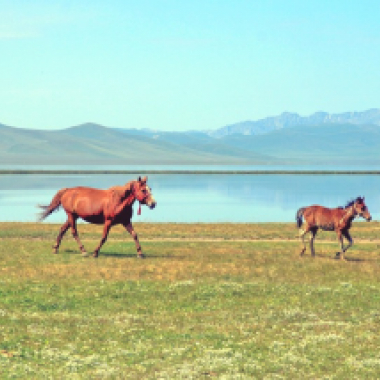 SONG-KUL LAKE