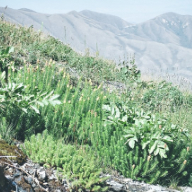 NARYN STATE RESERVE