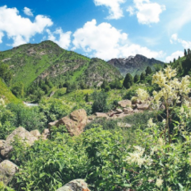 SARKENT NATIONAL NATURE RESERVE