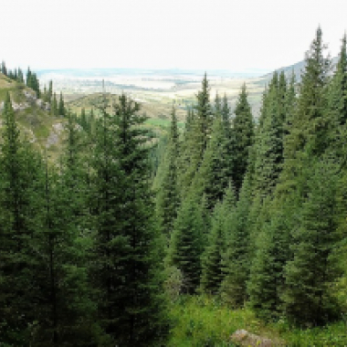 KEL-TOR GORGE
