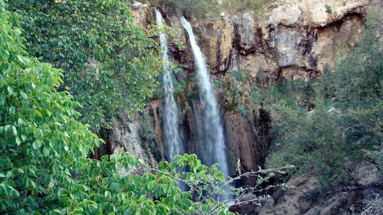 ARSLANBOB WALNUT FORESTS