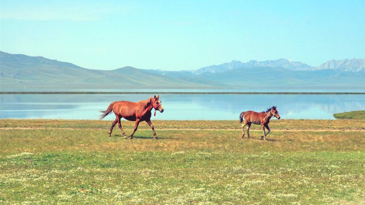 SONG-KUL LAKE