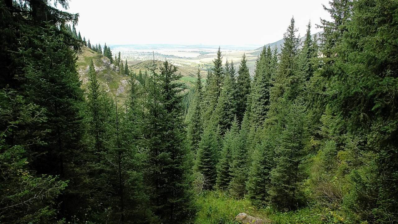 KEL-TOR GORGE