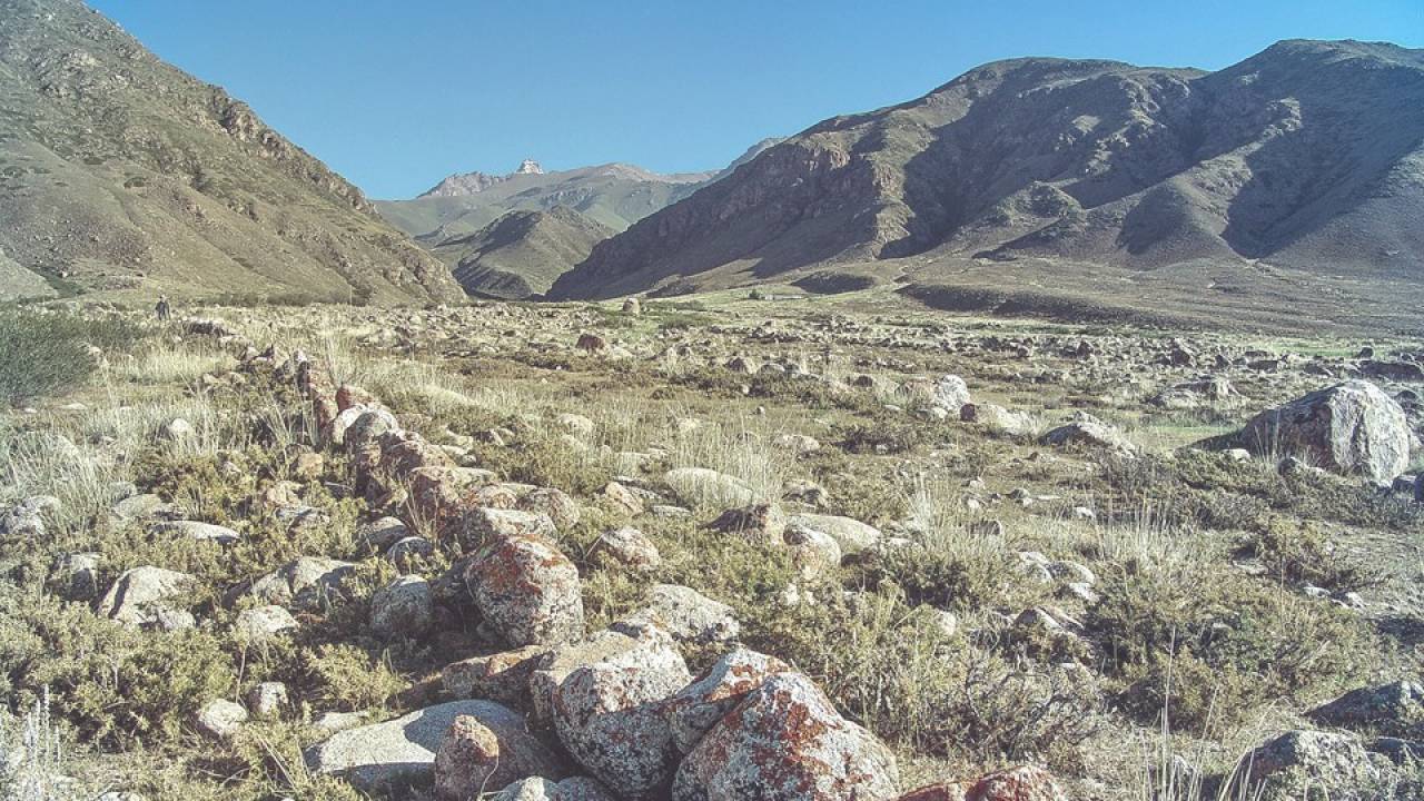 ÖRNÖK PETROGLYPHS