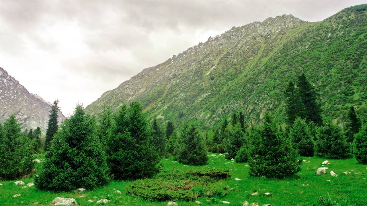 ALA-ARCHA NATIONAL PARK