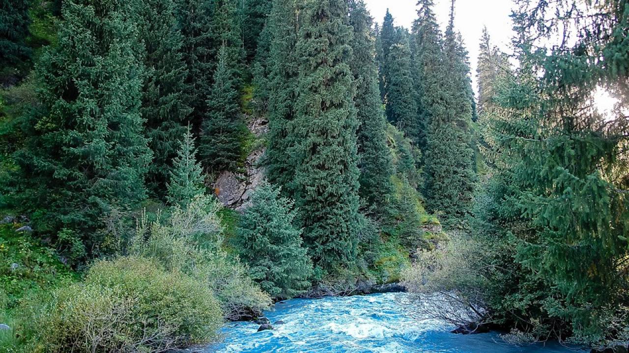CHONG AK SUU GORGE