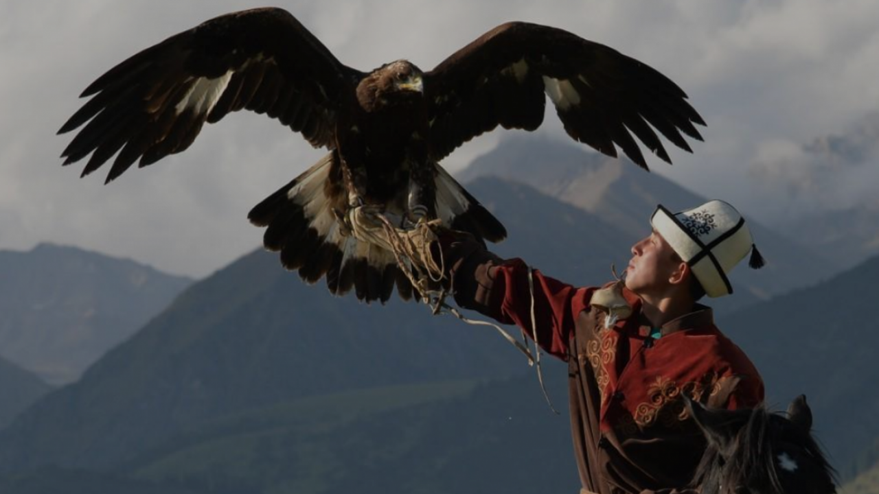 Chasse aux aigles